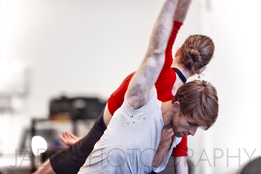 Morphoses01 Morphoses01