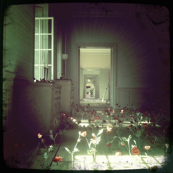 6a00d8341c4e3853ef01348752c312970c-800wi 6a00d8341c4e3853ef01348752c312970c-800wi