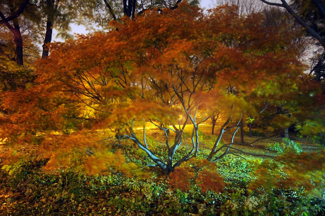 6a00d8341c4e3853ef0128761eedc9970c 6a00d8341c4e3853ef0128761eedc9970c