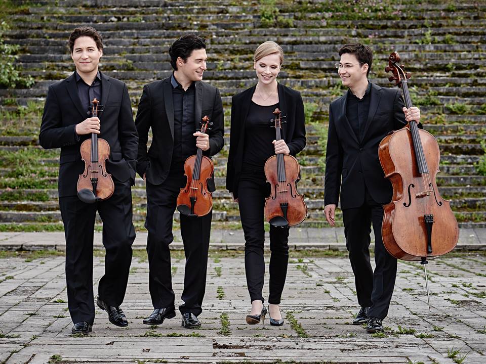 30738946_10155657104388666_6425725551075393536_n 30738946_10155657104388666_6425725551075393536_n