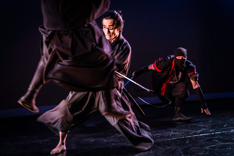 BRI_3823-11-L BRI_3823-11-L