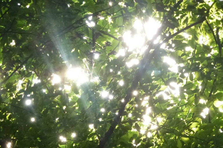 10553481_10203077691237210_5547337572737638194_n 10553481_10203077691237210_5547337572737638194_n