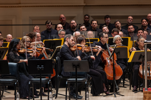 American Symphony Orchestra_Cyrus-Beroukhim_Concertmaster_Photo-Credit_Matt-Dine