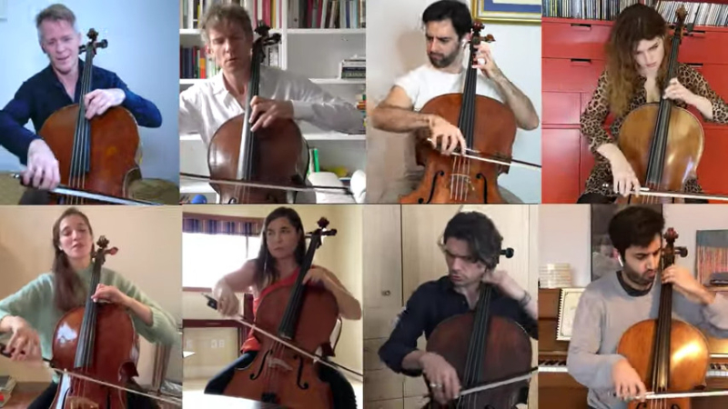 Snapshot celli Snapshot celli